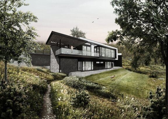 Modern Mountain Residence - Asheville - Green Roof - Biophilic Design